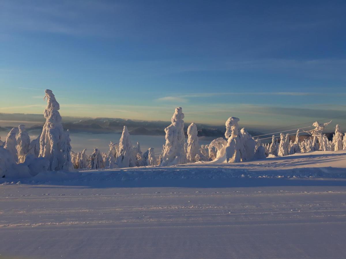 Chata Stred Kubinska Hola Dolny Kubin Exteriör bild